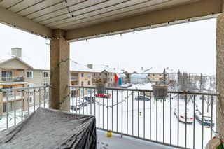 Photo 14: 314 1000 Citadel Meadow Point NW in Calgary: Citadel Apartment for sale : MLS®# A2014604