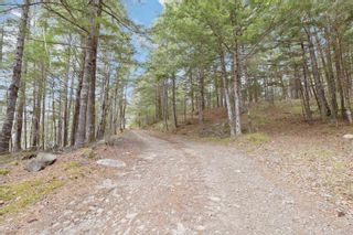 Photo 47: 280 Maders Mill Road in Blockhouse: 405-Lunenburg County Vacant Land for sale (South Shore)  : MLS®# 202308722