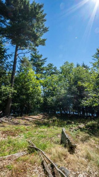 Photo 31: 16 Bigwin Island in Lake of Bays: House (Other) for sale : MLS®# X5727797
