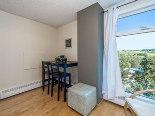 Photo 22: 509 8604 48 Avenue NW in Calgary: Bowness Apartment for sale : MLS®# A1240970
