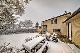 Photo 35: 436 Dalmeny Hill NW in Calgary: Dalhousie Detached for sale : MLS®# A2121438