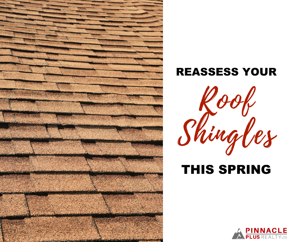 Reassess your Roof Shingles this Spring