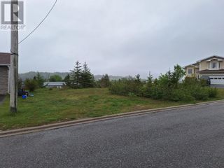 Photo 6: 1 Patrick Place in Stephenville: Vacant Land for sale : MLS®# 1259648
