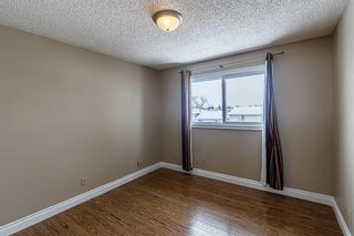 Photo 18: 55 TEMPLEVALE Way NE in Calgary: Temple Detached for sale : MLS®# A2103805