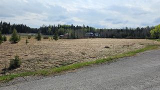 Photo 7: 315 5241 Township Road 325A: Rural Mountain View County Residential Land for sale : MLS®# A2033613