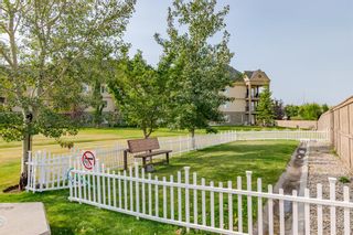Photo 24: 302 52 CRANFIELD Link SE in Calgary: Cranston Apartment for sale : MLS®# A1074449