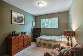 Photo 13: 11266 HARRISON Street in Maple Ridge: East Central House for sale : MLS®# R2049258