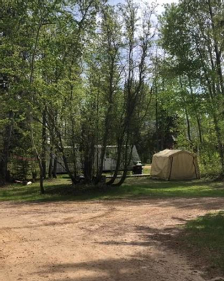Photo 4: Undeveloped Campground & RV Park for sale Alberta: Commercial for sale