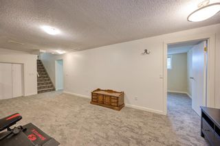 Photo 41: 127 Silver Springs Rise NW in Calgary: Silver Springs Detached for sale : MLS®# A2031045