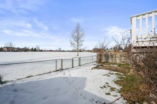 Photo 36: 1541 Big Springs Way SE: Airdrie Detached for sale : MLS®# A2090779