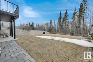Photo 54: 1222 CHAHLEY Landing in Edmonton: Zone 20 House for sale : MLS®# E4380828