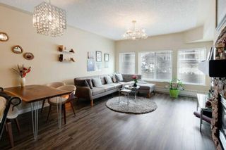 Photo 9: 141 10 Discovery Ridge Close SW in Calgary: Discovery Ridge Apartment for sale : MLS®# A2066558