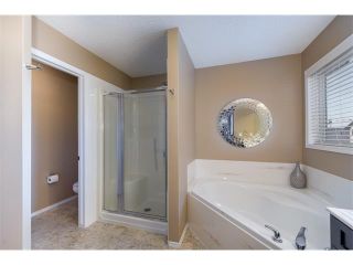 Photo 18: 289 West Lakeview Drive: Chestermere House for sale : MLS®# C4092730