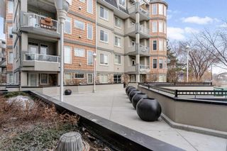 Photo 28: 401 2419 Erlton Road SW in Calgary: Erlton Apartment for sale : MLS®# A2115568