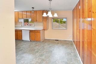Photo 8: 2536 ASQUITH St in Victoria: Vi Oaklands House for sale : MLS®# 883783
