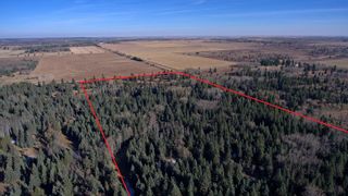 Photo 11: 20.02 Acres +/- NW of Cochrane in Rural Rocky View County: Rural Rocky View MD Land for sale : MLS®# A1065950