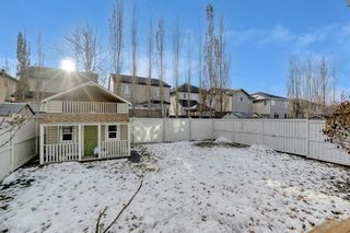 Photo 34: 31 Copperleaf Terrace SE in Calgary: Copperfield Detached for sale : MLS®# A2013670
