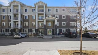 Photo 41: 4303 522 Cranford Drive SE in Calgary: Cranston Apartment for sale : MLS®# A2123266
