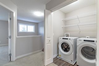 Photo 28: 559 Panamount Boulevard NW in Calgary: Panorama Hills Semi Detached (Half Duplex) for sale : MLS®# A2013947