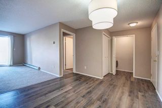 Photo 10: 1212 4975 130 Avenue SE in Calgary: McKenzie Towne Apartment for sale : MLS®# A2105141