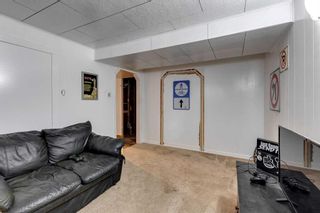 Photo 17: 107 38 Avenue SW in Calgary: Parkhill Detached for sale : MLS®# A2104745