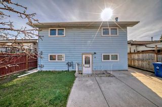 Photo 47: 1759 41 Street NE in Calgary: Rundle Detached for sale : MLS®# A2125831