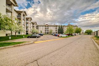 Photo 40: 209 1717 60 Street SE in Calgary: Red Carpet Apartment for sale : MLS®# A2133379