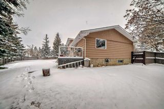 Photo 37: 14 Varmoor Place NW in Calgary: Varsity Detached for sale : MLS®# A2116711