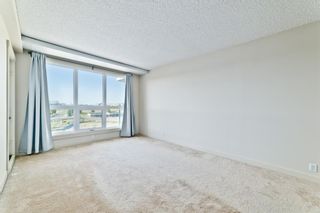 Photo 6: 517 8710 Horton Road SW in Calgary: Haysboro Apartment for sale : MLS®# A1176470