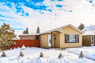 Photo 28: 232 Erin Mount Crescent SE in Calgary: Erin Woods Detached for sale : MLS®# A2022417