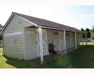 Photo 5: 4811 36TH Avenue in Ladner: Ladner Rural House for sale : MLS®# V724583