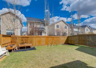 Photo 34: 87 Royal Elm Way NW in Calgary: Royal Oak Detached for sale : MLS®# A1221119
