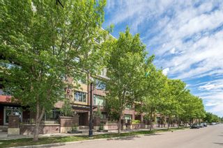 Photo 4: 335 950 Centre Avenue NE in Calgary: Bridgeland/Riverside Apartment for sale : MLS®# A1121925