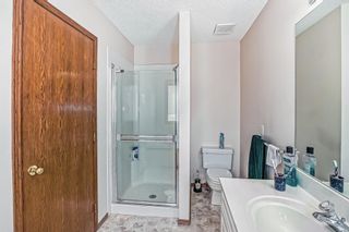 Photo 23: 269 WESTCHESTER Green: Chestermere Detached for sale : MLS®# A2010625