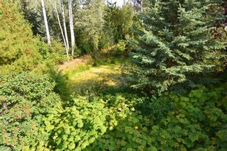 Photo 31: 2828 PTARMIGAN Road in Smithers: Smithers - Rural Manufactured Home for sale (Smithers And Area (Zone 54))  : MLS®# R2615113
