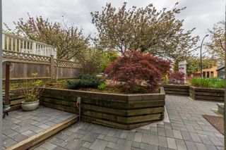 Photo 41: 3664 W 15TH Avenue in Vancouver: Point Grey House for sale (Vancouver West)  : MLS®# V1117903