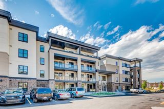 Photo 2: 3207 80 greenbriar Place NW in Calgary: Greenwood/Greenbriar Apartment for sale : MLS®# A1238696