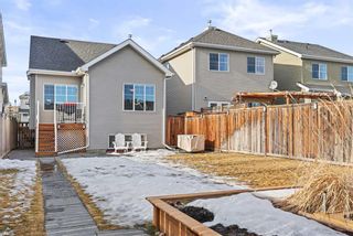 Photo 31: 38 Cougartown Circle SW in Calgary: Cougar Ridge Detached for sale : MLS®# A2105975
