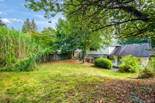 Photo 22: 1315 LAWSON Avenue in West Vancouver: Ambleside House for sale : MLS®# R2725758