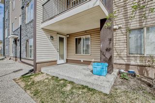 Photo 12: 104 355 Taralake Way NE in Calgary: Taradale Apartment for sale : MLS®# A2046327