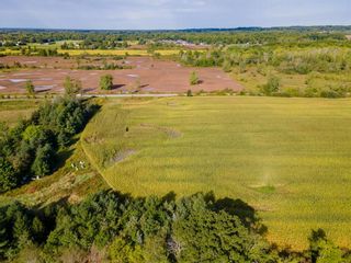 Photo 10: 227 ES CATARACT Road in Thorold: Vacant Land for sale : MLS®# H4117393