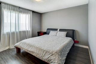 Photo 15: 46 Skyview Point Link NE in Calgary: Skyview Ranch Semi Detached for sale : MLS®# A1195627