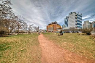 Photo 32: 309 1025 5 Avenue SW in Calgary: Downtown West End Apartment for sale : MLS®# A2136214