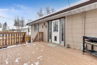 Photo 30: 6641 18 Street SE in Calgary: Ogden Detached for sale : MLS®# A2108644