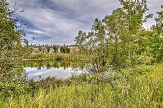 Photo 50: 223 Inverness Park SE in Calgary: McKenzie Towne Detached for sale : MLS®# A2080302