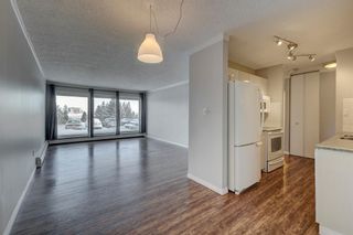 Photo 5: 117 816 89 Avenue SW in Calgary: Haysboro Apartment for sale : MLS®# A2022209