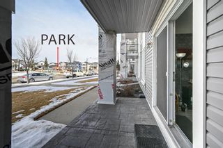 Photo 4: 1116 333 Taravista Drive NE in Calgary: Taradale Apartment for sale : MLS®# A1194240