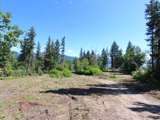 Photo 26: 663 Waverly Park Frontage Road in Sorrento, BC: Land Only for sale (Sorrento) 