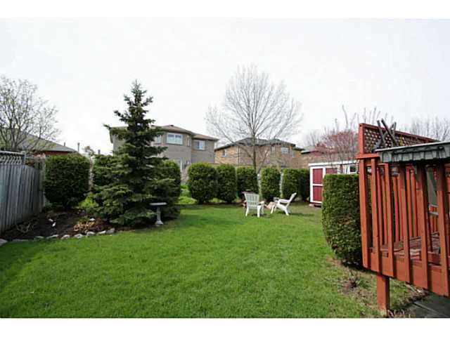 Photo 20: Photos: 54 DOUGLAS DR in BARRIE: House for sale : MLS®# 1403531