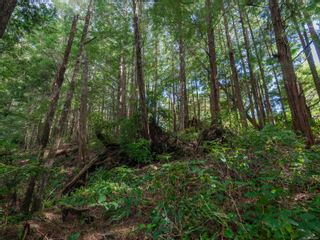 Photo 8: LOT 1 Peninsula Rd in Ucluelet: PA Ucluelet Land for sale (Port Alberni)  : MLS®# 930946